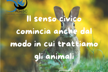 IL SENSO CIVICO COMINCIA ANCHE DAL MODO IN CUI TRATTIAMO GLI ANIMALI