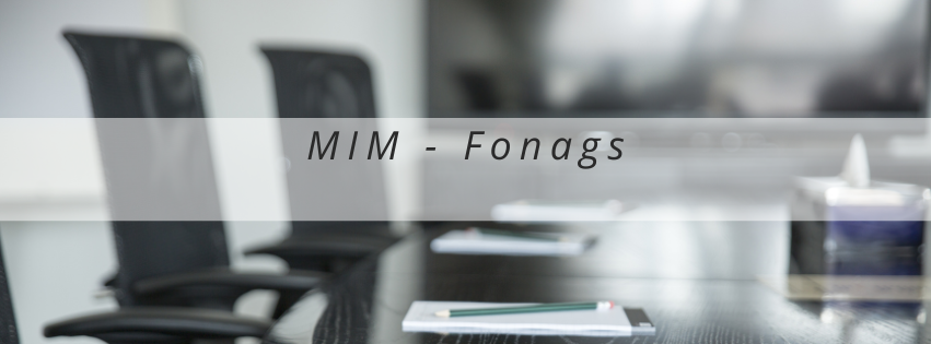 Riunione Fonags